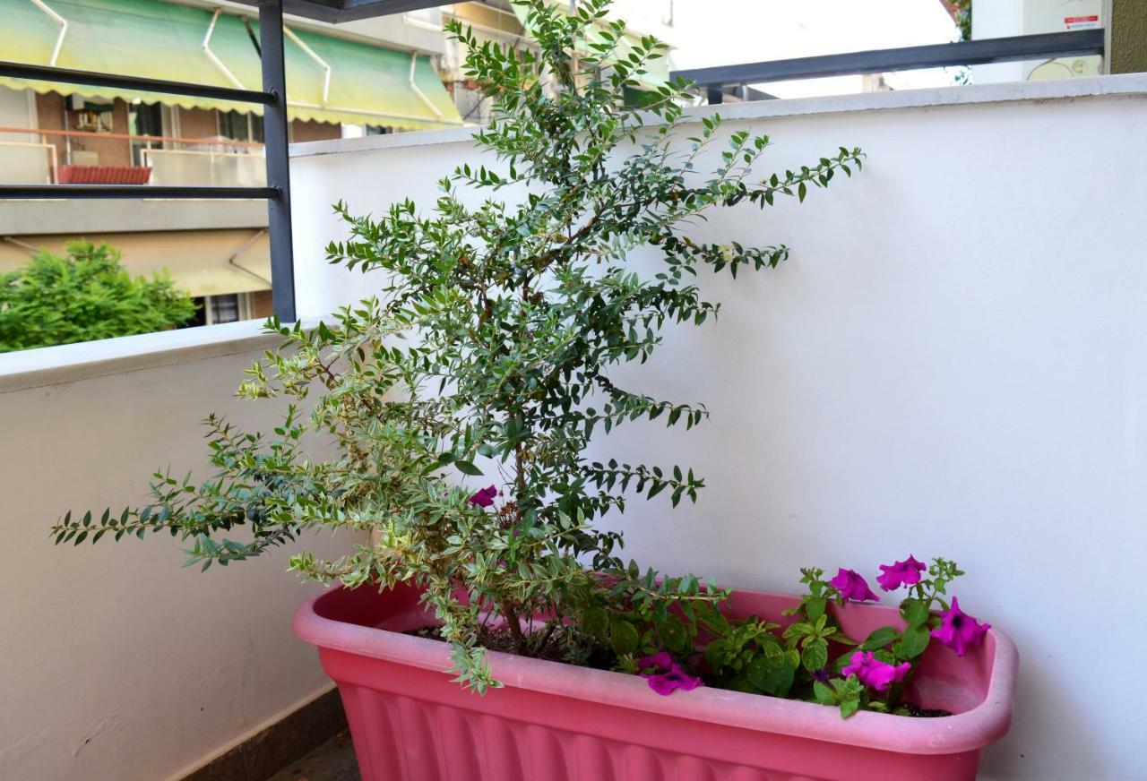Cosy Studios 1 Close To The City Center 塞萨洛尼基 外观 照片